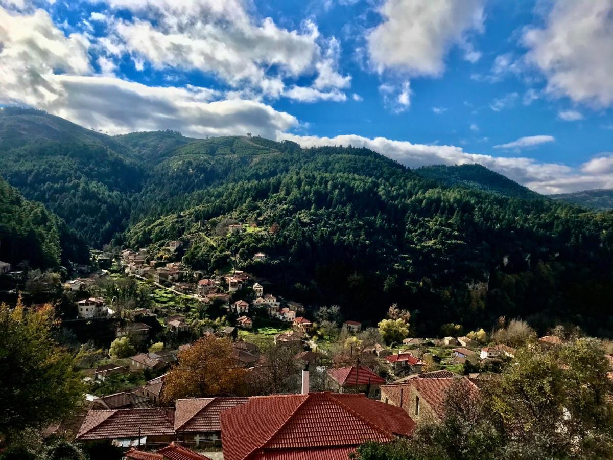 Hotel Pritanio Polídhroson Exteriér fotografie